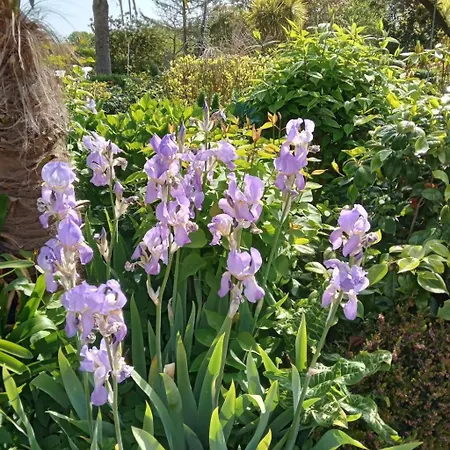 Les Charmilles By Interhome * Crasville (Manche)