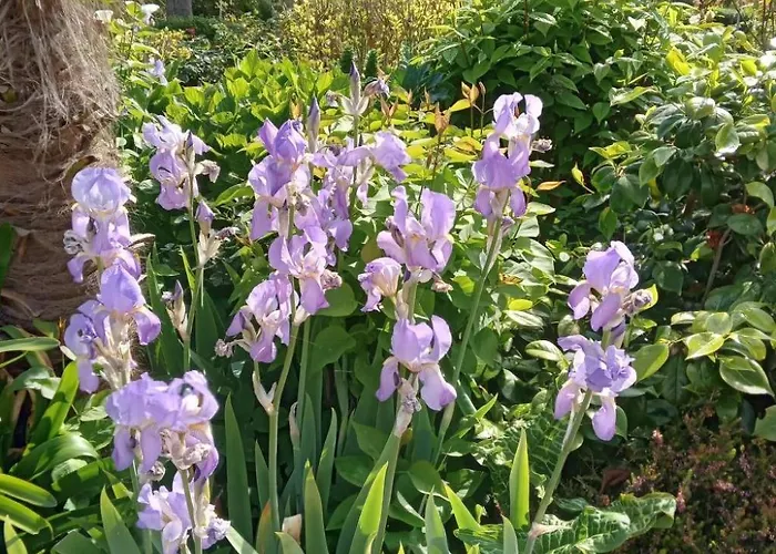 Les Charmilles By Interhome * Crasville (Manche)